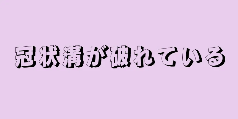 冠状溝が破れている