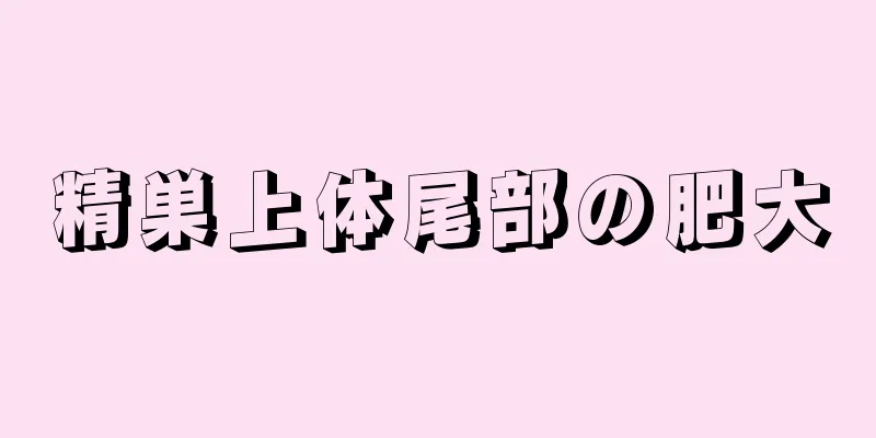 精巣上体尾部の肥大