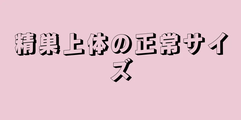 精巣上体の正常サイズ