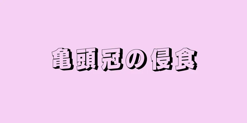 亀頭冠の侵食