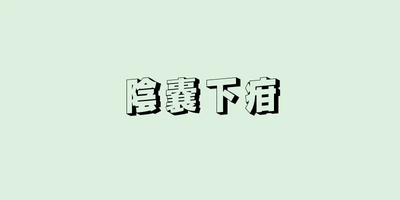 陰嚢下疳