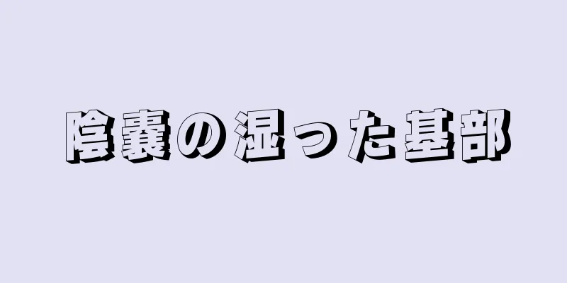 陰嚢の湿った基部