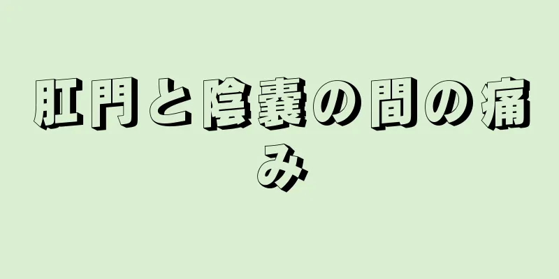 肛門と陰嚢の間の痛み