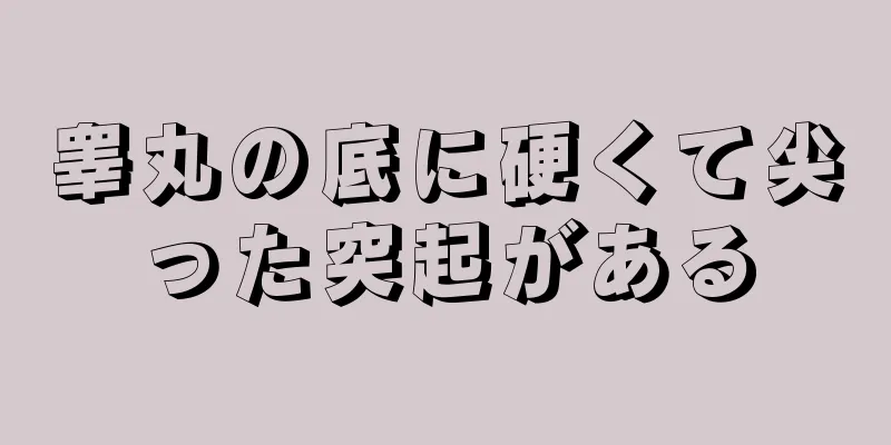 睾丸の底に硬くて尖った突起がある