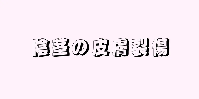 陰茎の皮膚裂傷