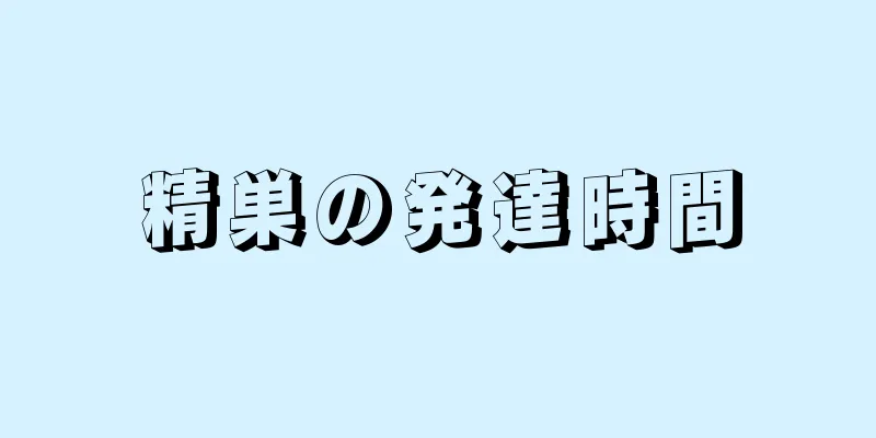 精巣の発達時間