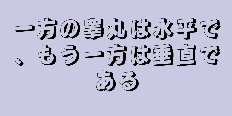 一方の睾丸は水平で、もう一方は垂直である