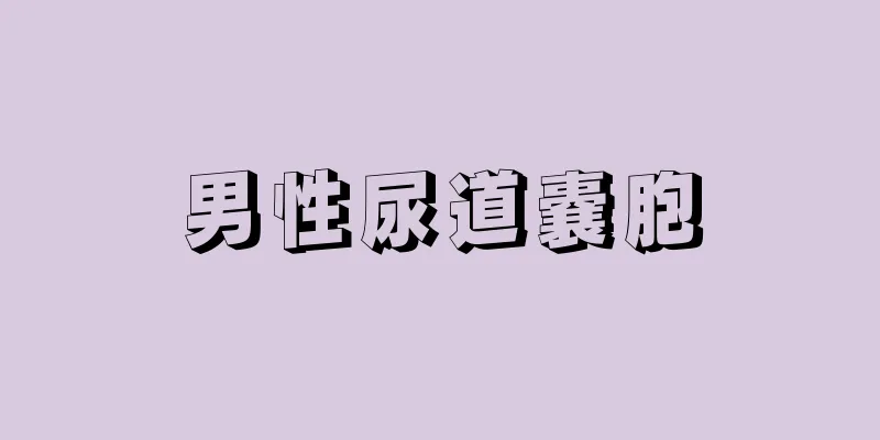 男性尿道嚢胞