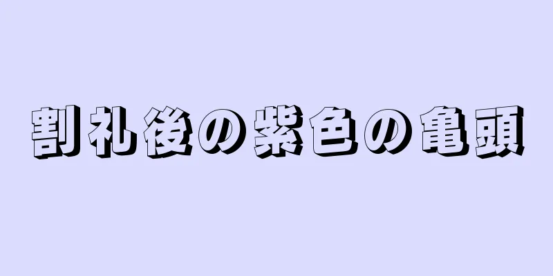 割礼後の紫色の亀頭