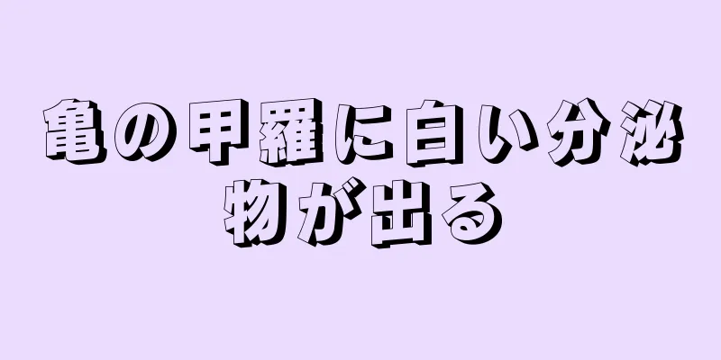 亀の甲羅に白い分泌物が出る