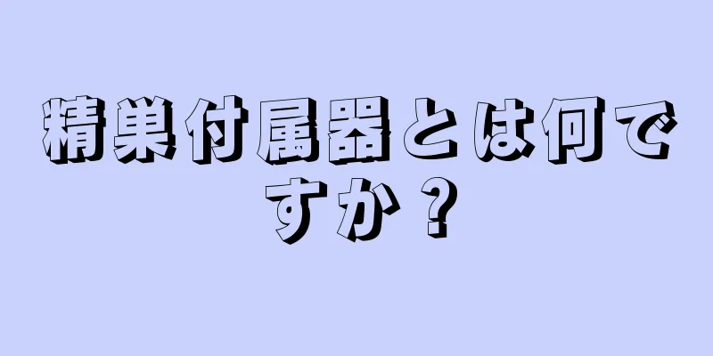 精巣付属器とは何ですか？