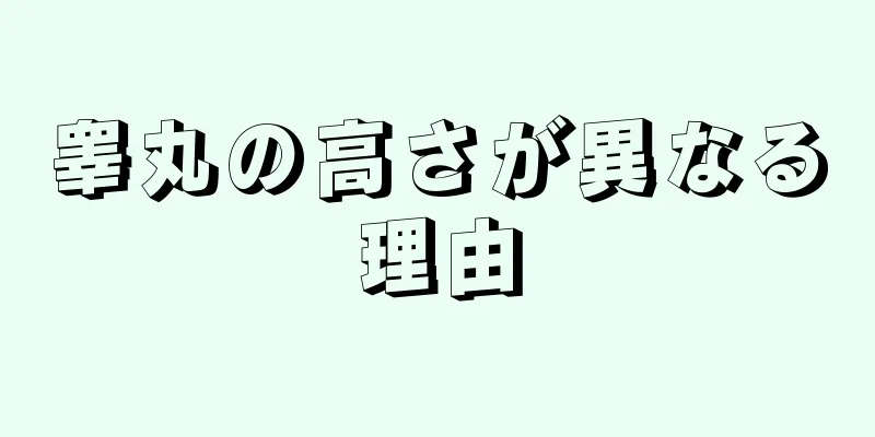 睾丸の高さが異なる理由
