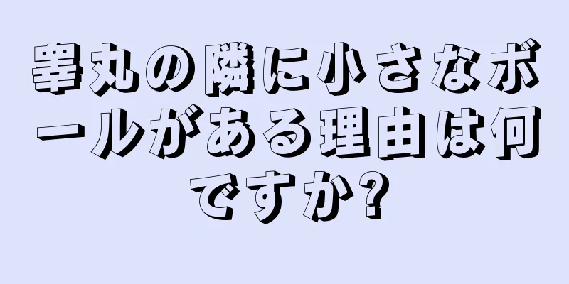 睾丸の隣に小さなボールがある理由は何ですか?
