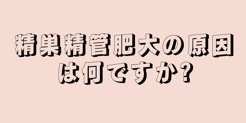 精巣精管肥大の原因は何ですか?