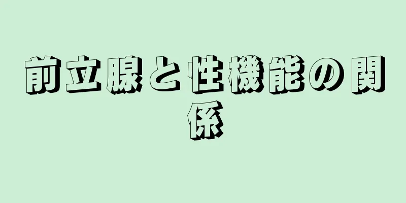 前立腺と性機能の関係
