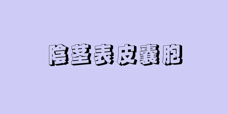 陰茎表皮嚢胞