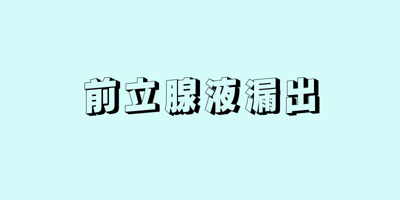 前立腺液漏出
