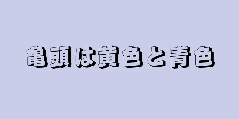 亀頭は黄色と青色