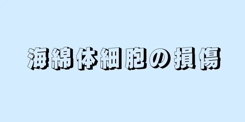 海綿体細胞の損傷
