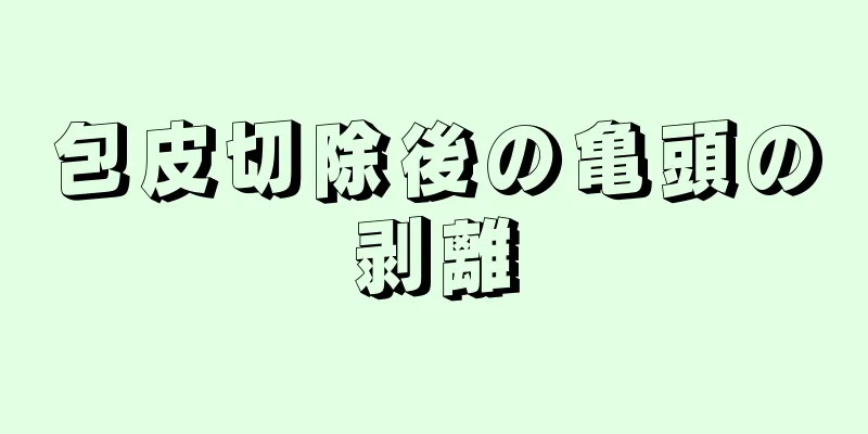 包皮切除後の亀頭の剥離