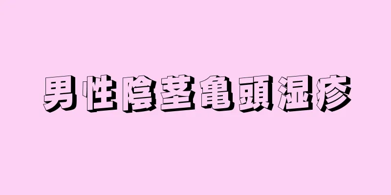 男性陰茎亀頭湿疹