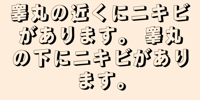睾丸の近くにニキビがあります。 睾丸の下にニキビがあります。