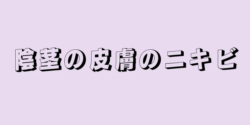 陰茎の皮膚のニキビ