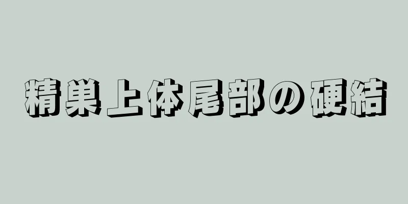 精巣上体尾部の硬結