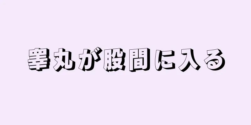 睾丸が股間に入る