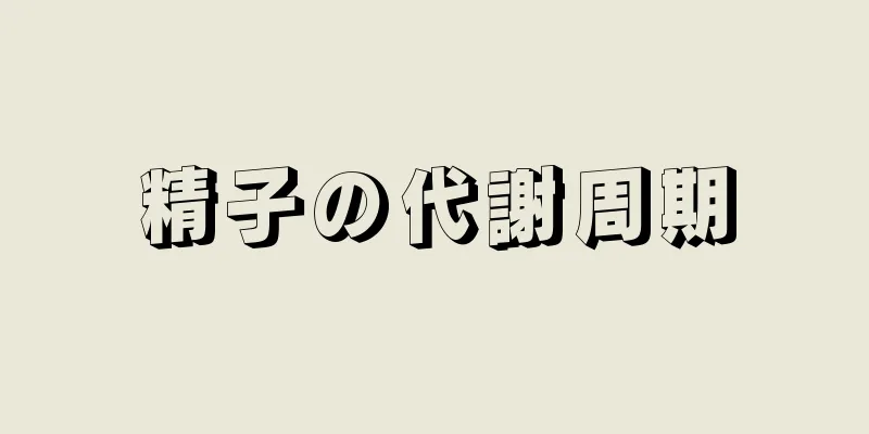 精子の代謝周期