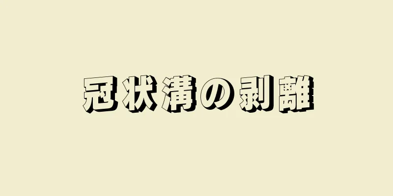 冠状溝の剥離