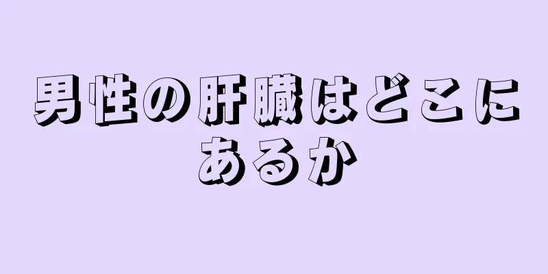 男性の肝臓はどこにあるか
