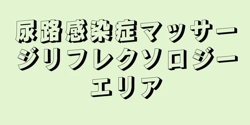 尿路感染症マッサージリフレクソロジーエリア