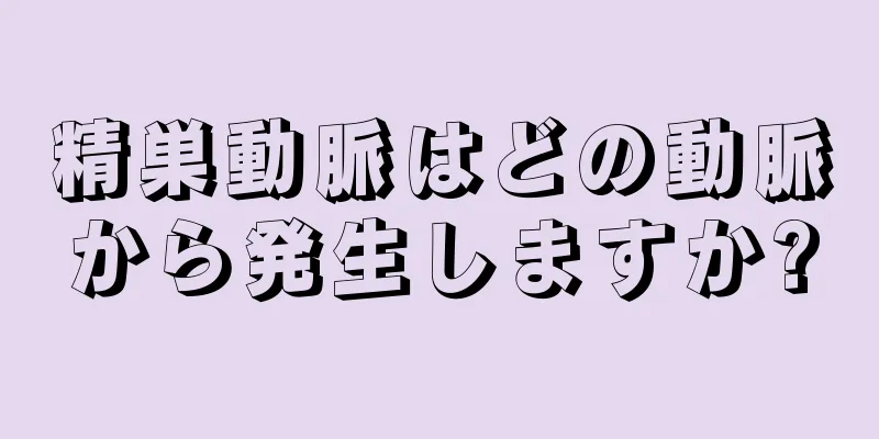 精巣動脈はどの動脈から発生しますか?