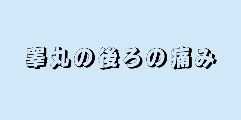 睾丸の後ろの痛み