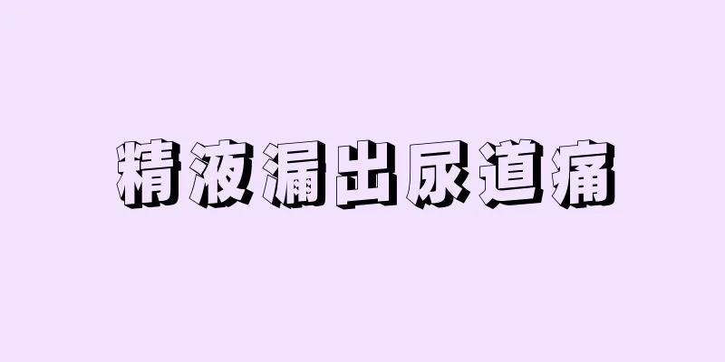 精液漏出尿道痛