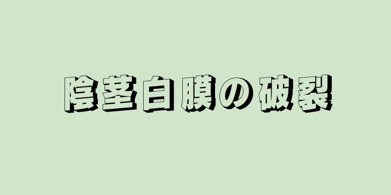 陰茎白膜の破裂