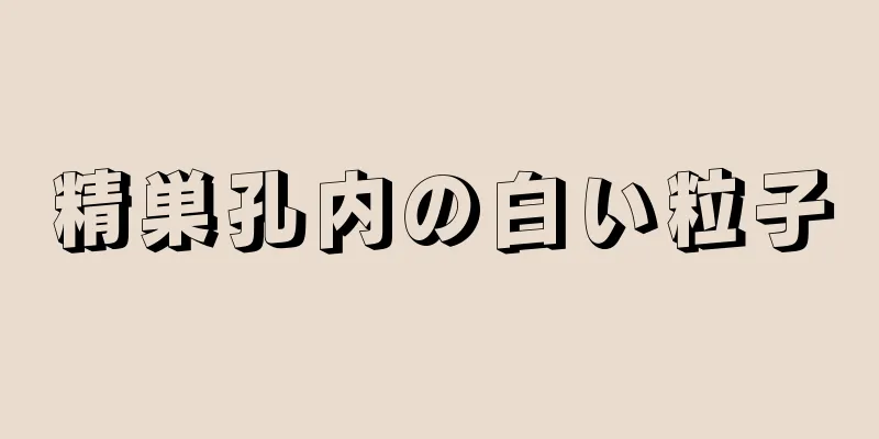 精巣孔内の白い粒子