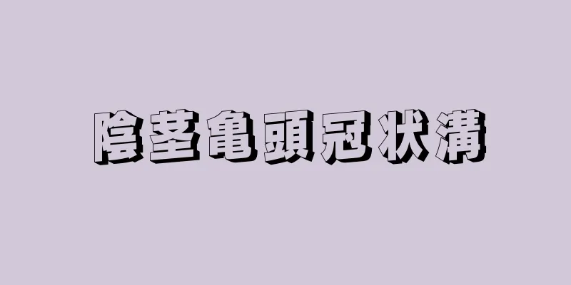 陰茎亀頭冠状溝