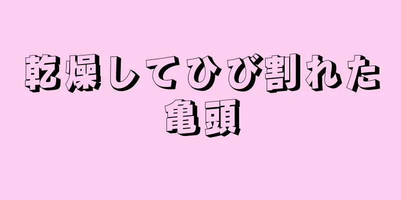 乾燥してひび割れた亀頭
