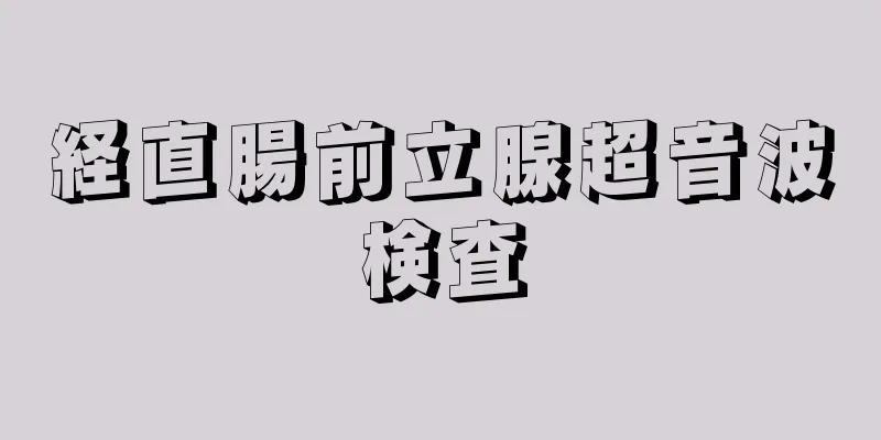 経直腸前立腺超音波検査