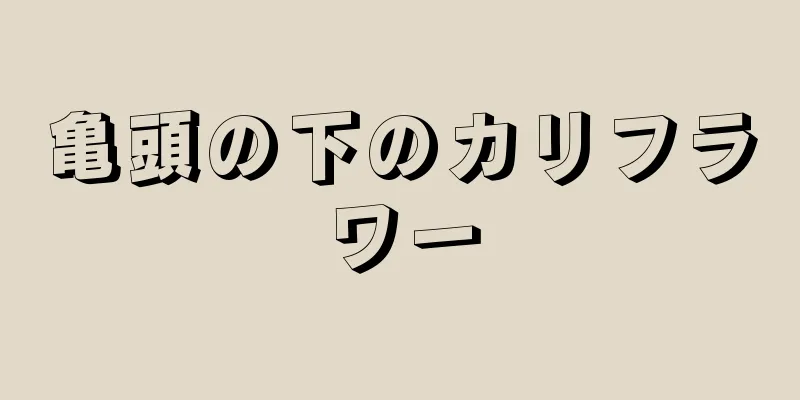 亀頭の下のカリフラワー