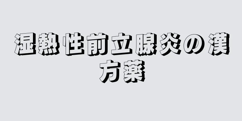 湿熱性前立腺炎の漢方薬