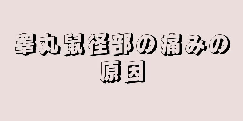 睾丸鼠径部の痛みの原因