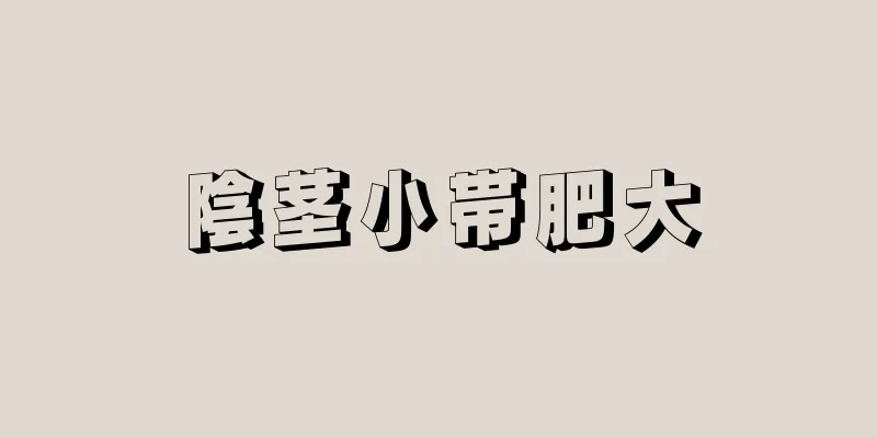 陰茎小帯肥大