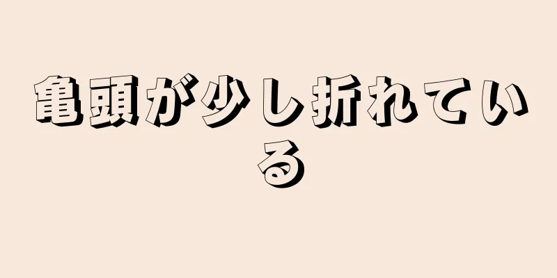 亀頭が少し折れている
