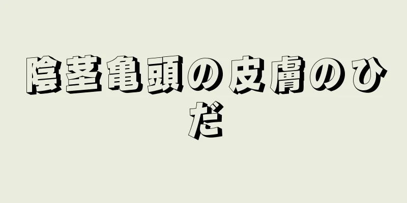 陰茎亀頭の皮膚のひだ