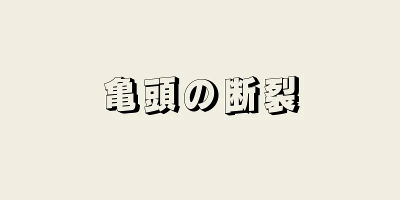 亀頭の断裂