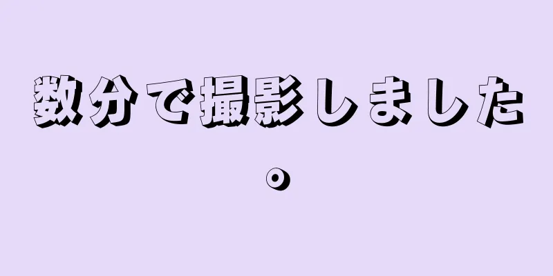 数分で撮影しました。
