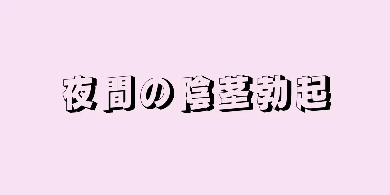 夜間の陰茎勃起
